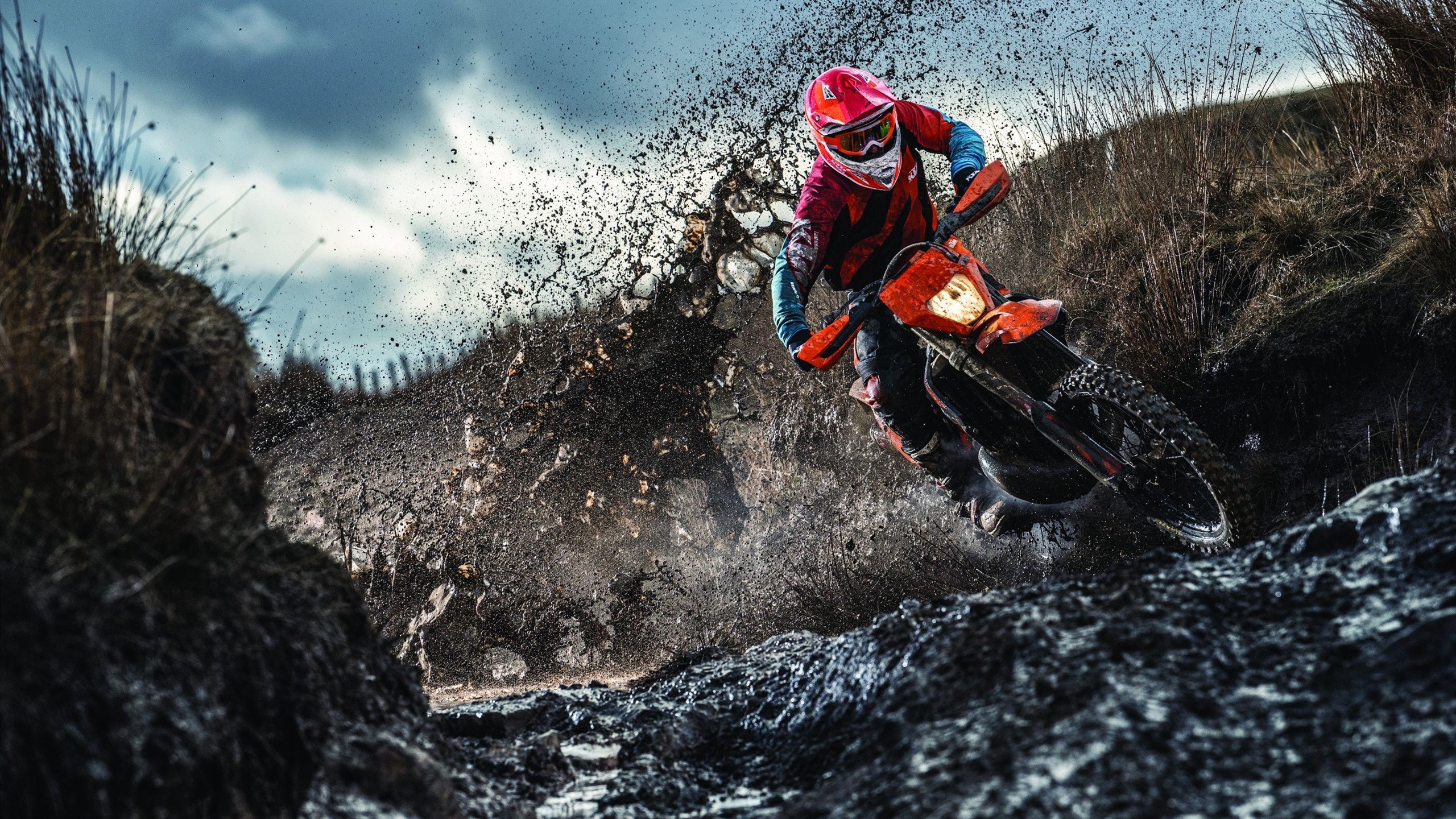 塔特精准的传球和视野,给袋鼠队带来全新战术打法