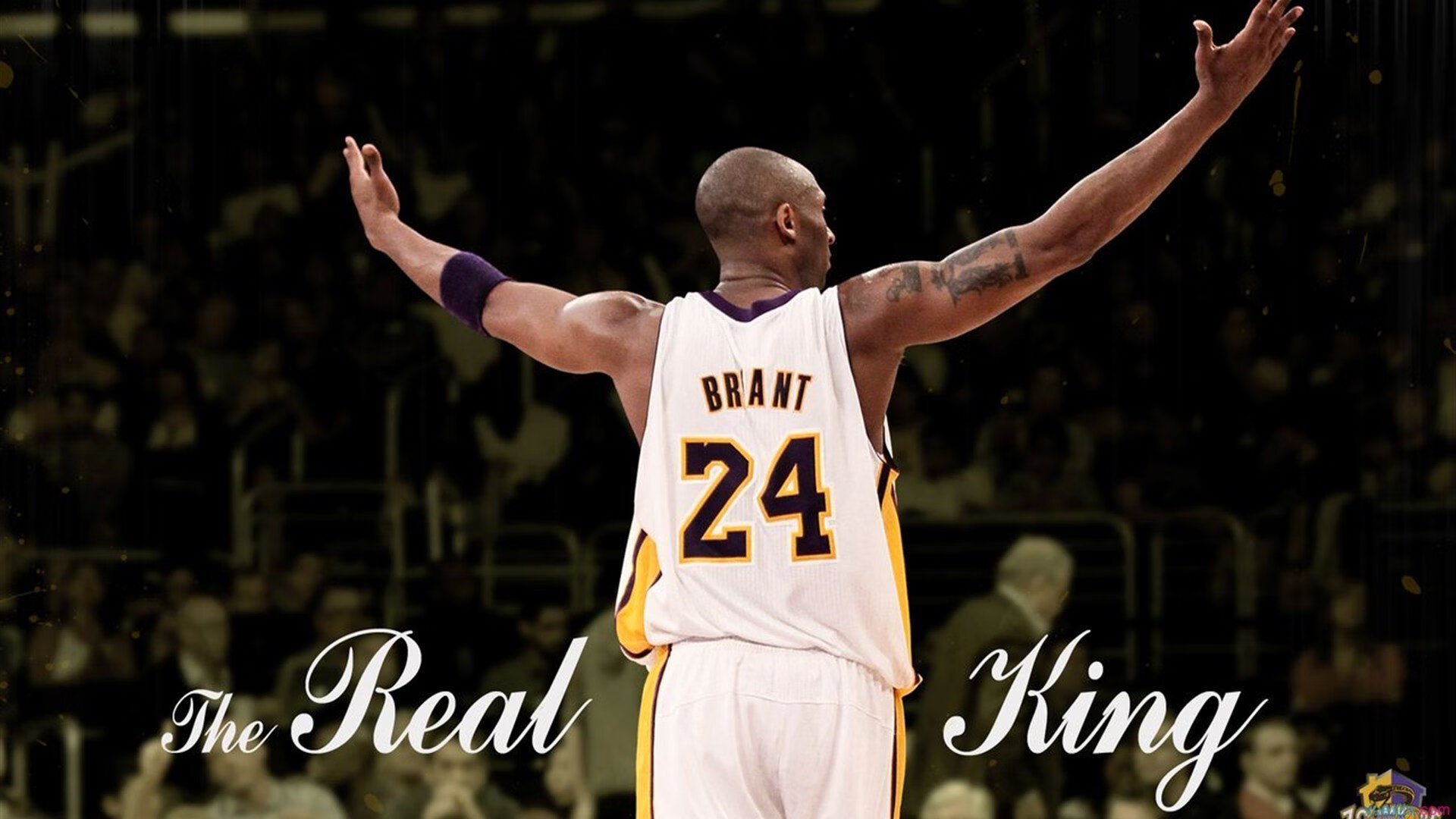 Morales 多次达阵成为得分机器